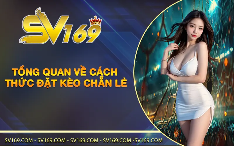 Tổng quan về cách thức đặt kèo chẵn lẻ
