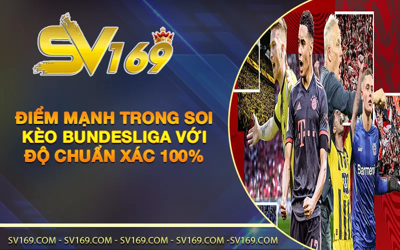 Điểm mạnh trong soi kèo Bundesliga với độ chuẩn xác 100%