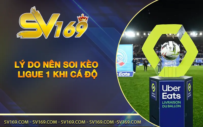 Lý do nên soi kèo Ligue 1 khi cá độ