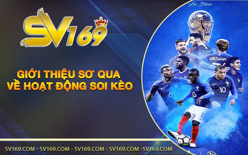Giới thiệu sơ qua về hoạt động soi kèo